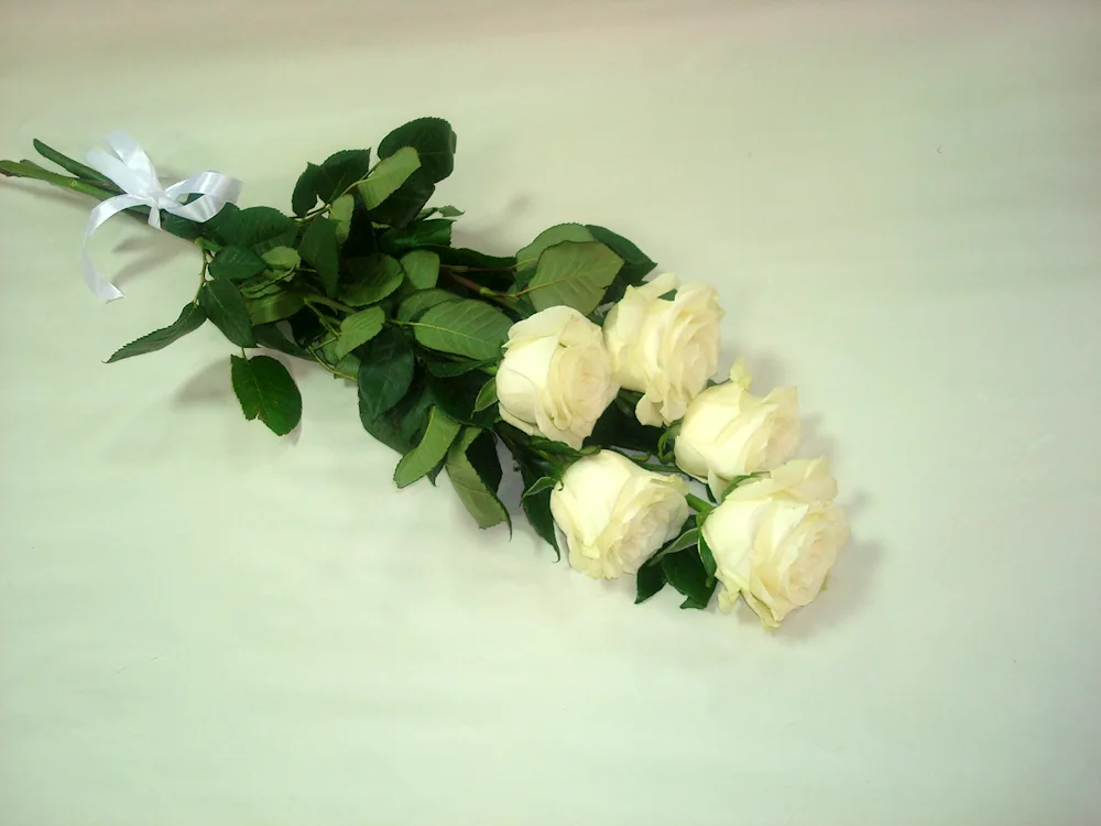 Bouquet of white roses