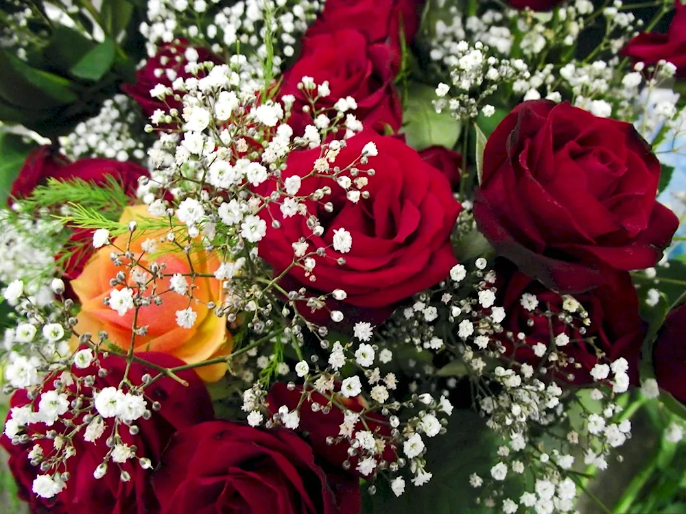 Bouquet of rose and gypsophila