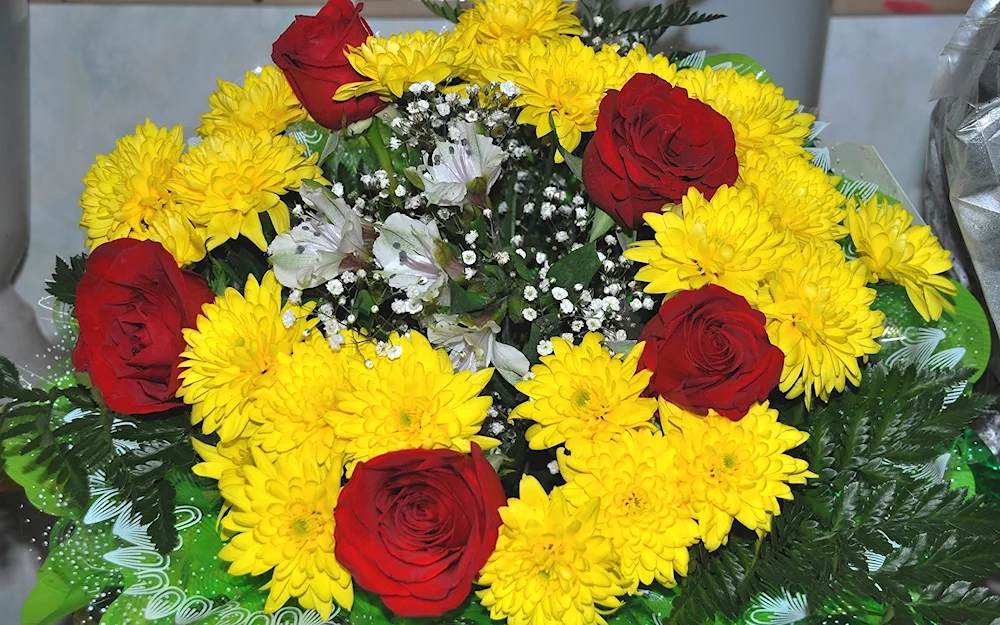 Chrysanthemum daisy