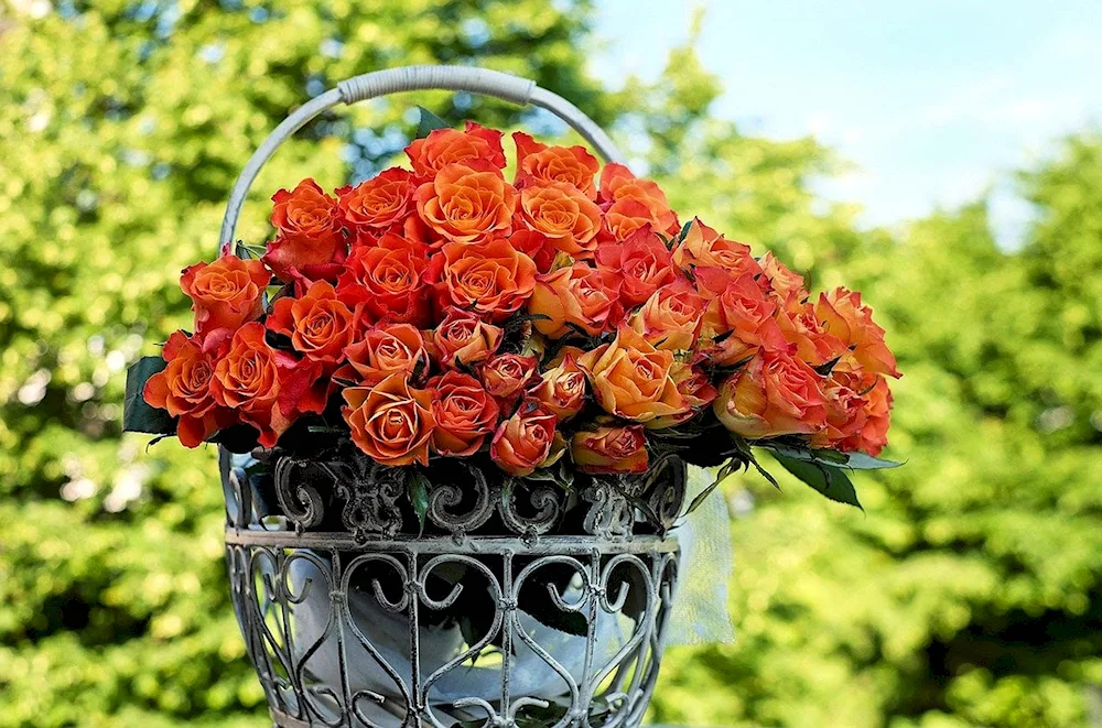 Bouquet of roses