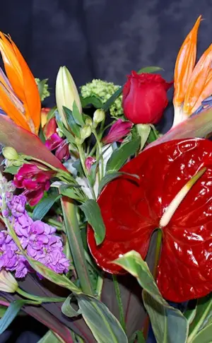 Anthurium bouquet