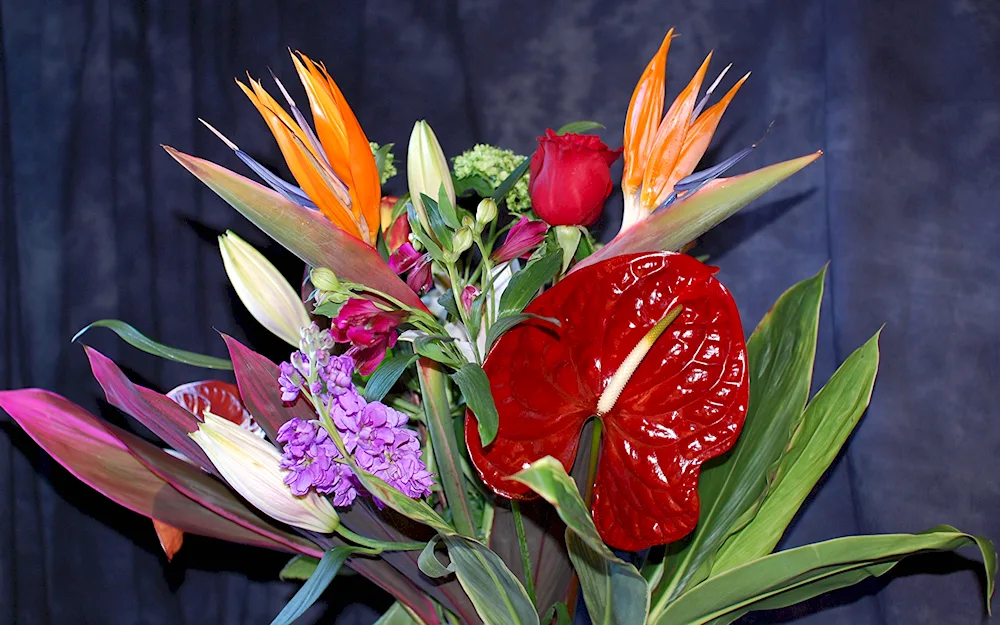 Anthurium bouquet