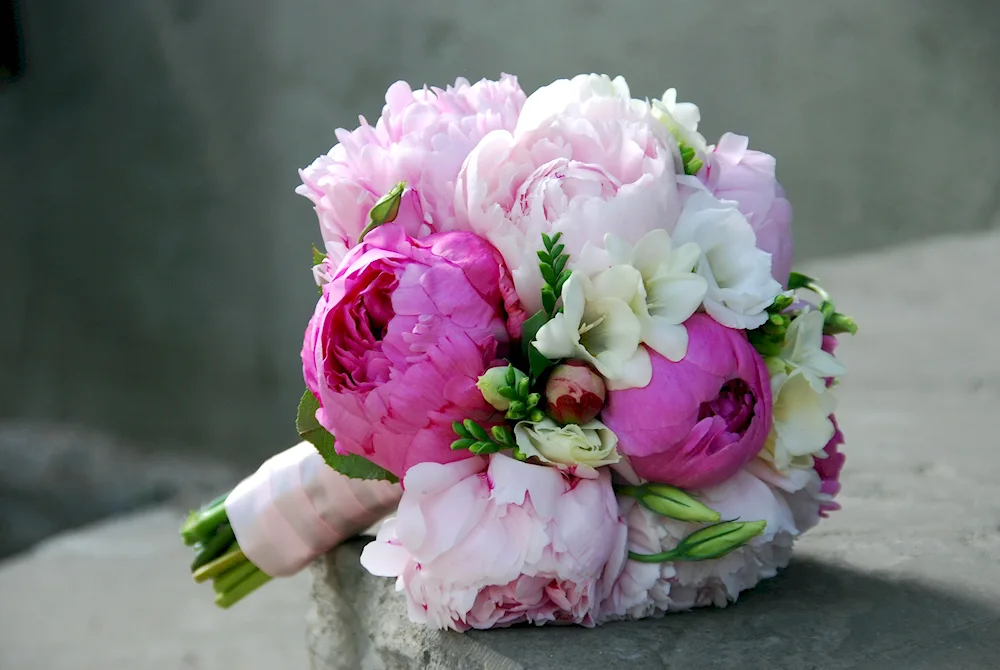 Bouquet of peonies