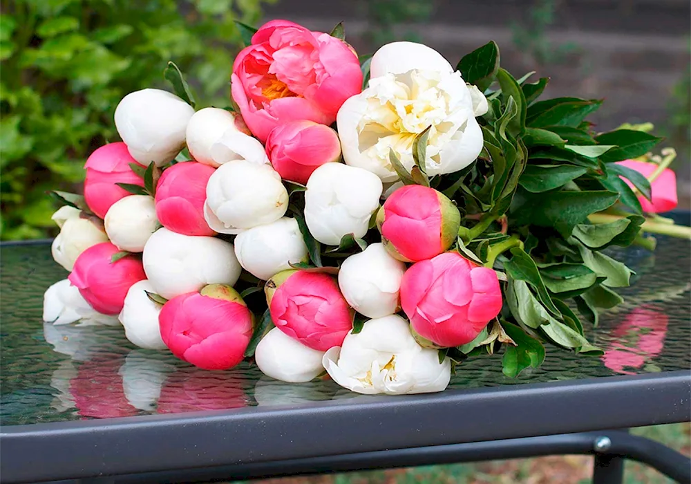 Bouquet of peonies