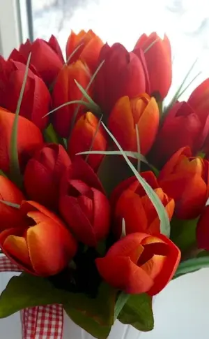 Bouquet of tulips