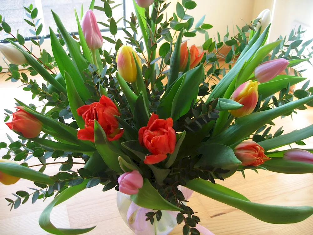 Bouquet of tulips