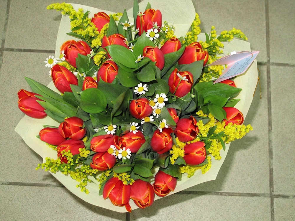 Bouquet of 51 tulips