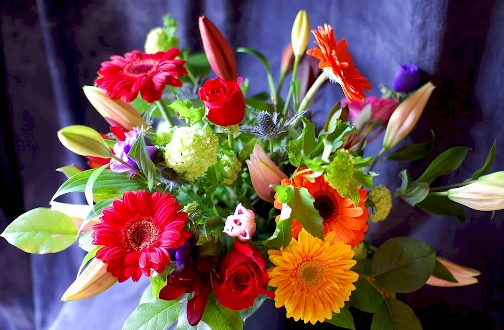 Beautiful bouquet of flowers