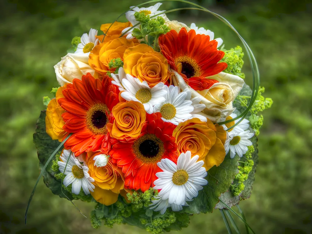 Gerbera chrysanthemum daisy bouquet