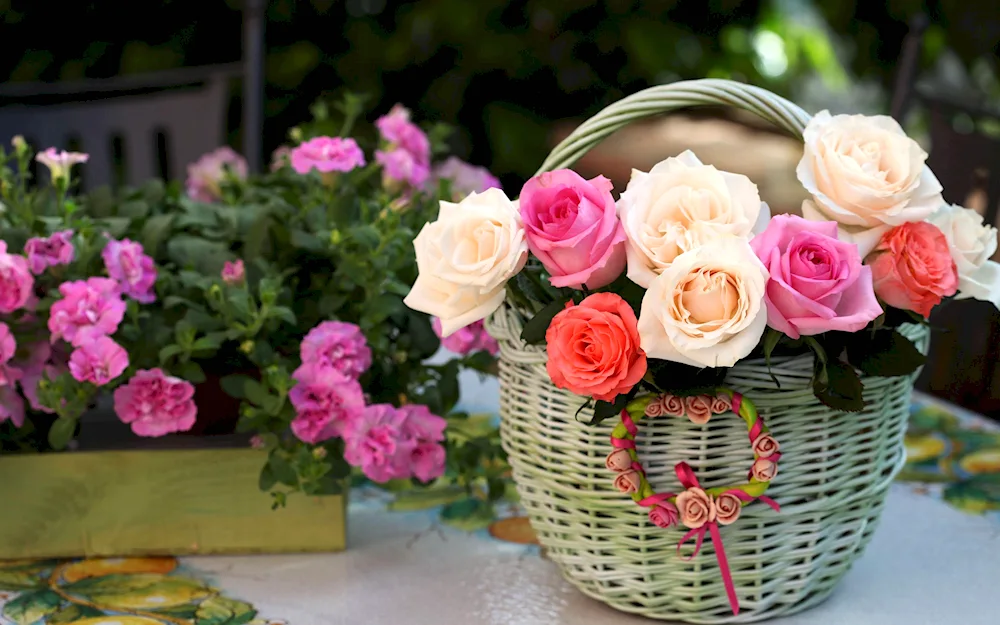 Petunia bouquet