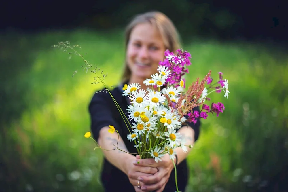 Daisy bouquet in hand