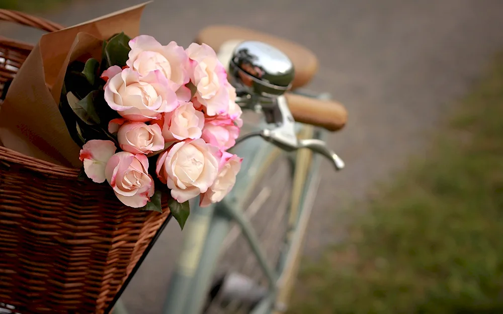 Bouquet in a bicycle