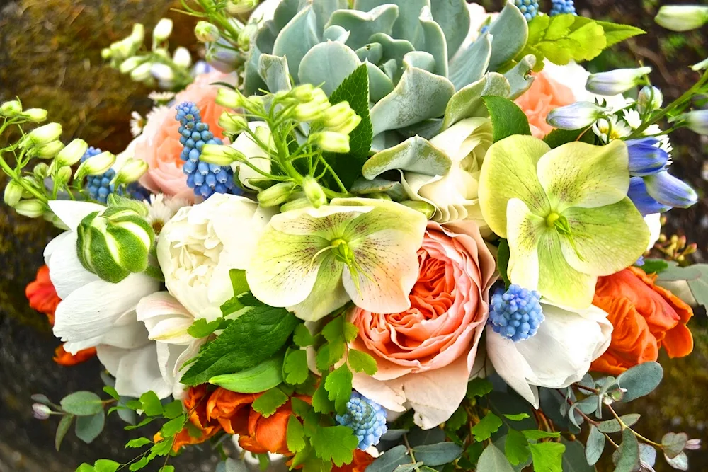 Bouquet of spring flowers