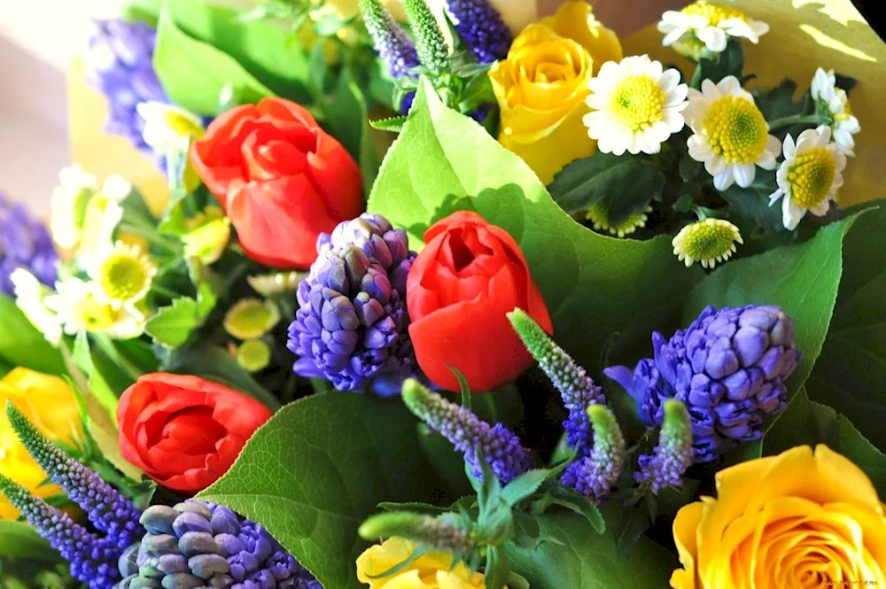 Bouquet of spring flowers