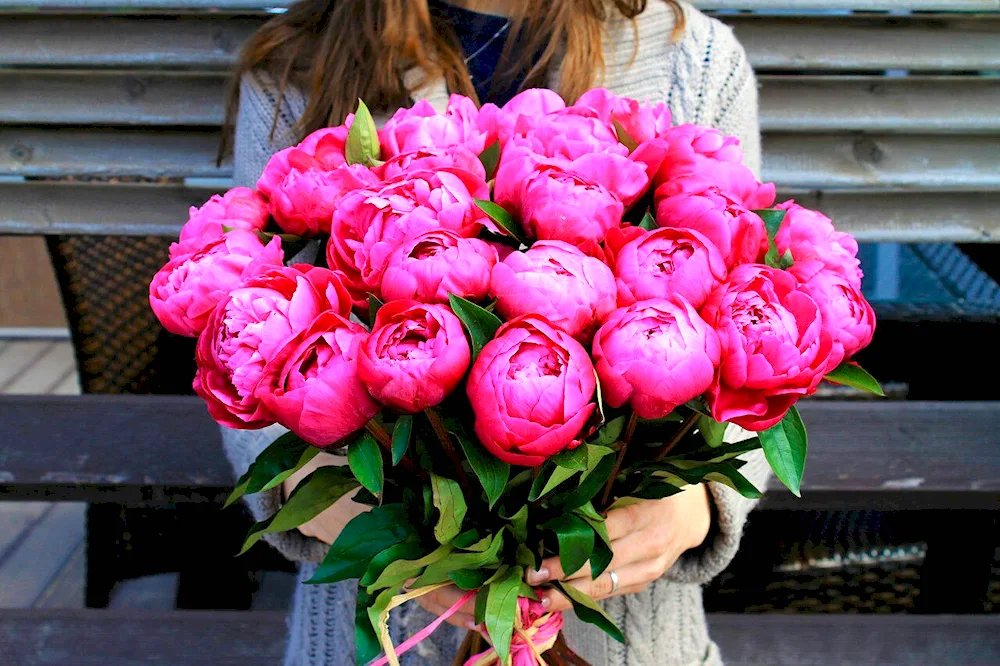 Bouquet of peonies