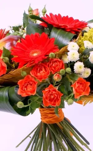 Bouquets of gerberas with chrysanthemums and alstroemeria