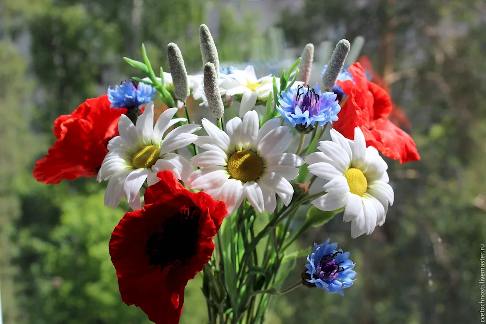 Bouquet of wild flowers