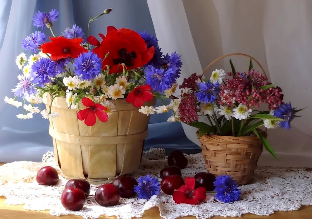 Bouquets of wild cornflowers. Daisy Poppies