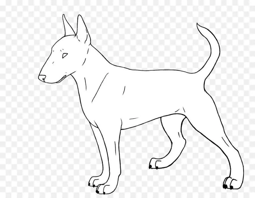 Movie drawings