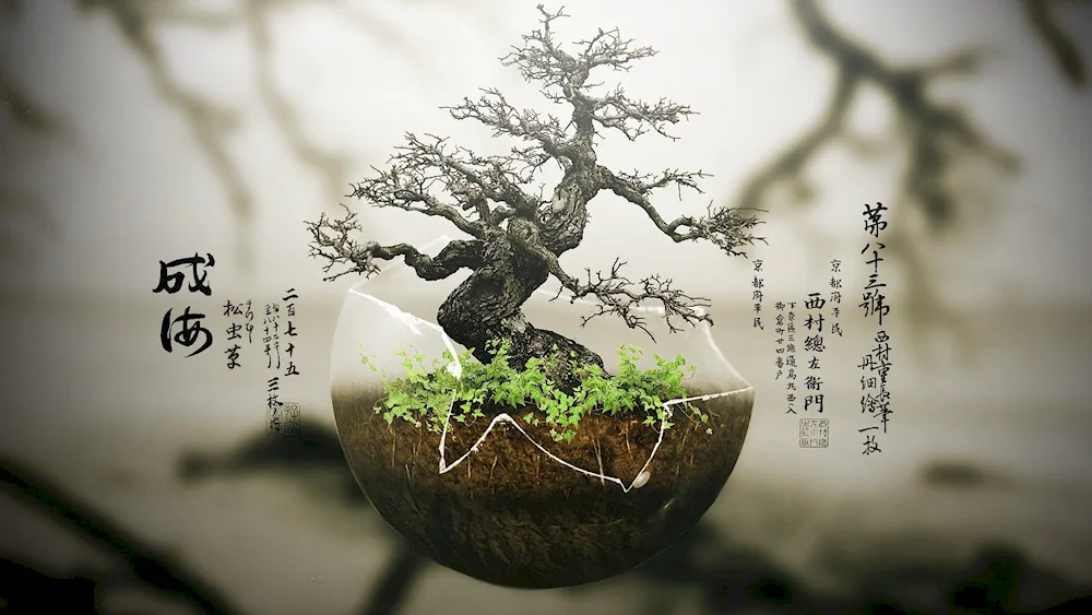 Bunjing Bonsai