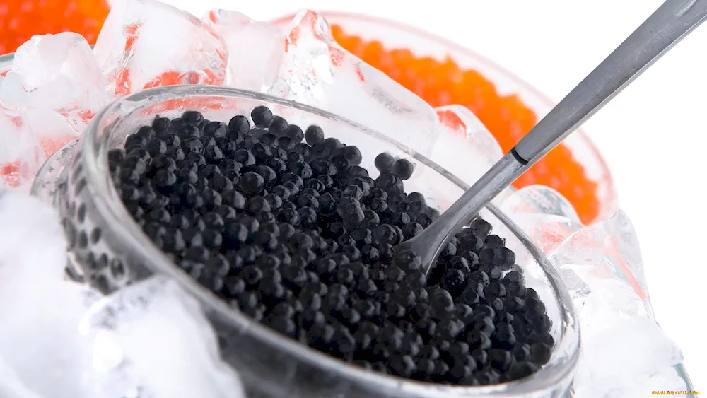 Caviar caviar red