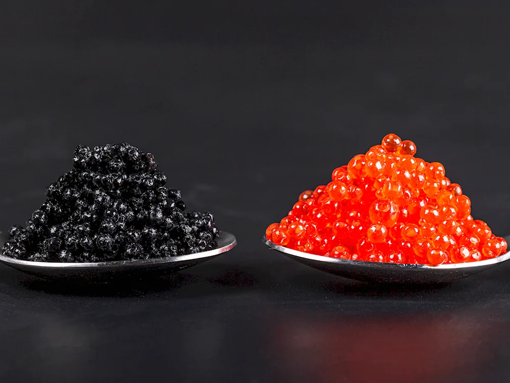 Black caviar eggs
