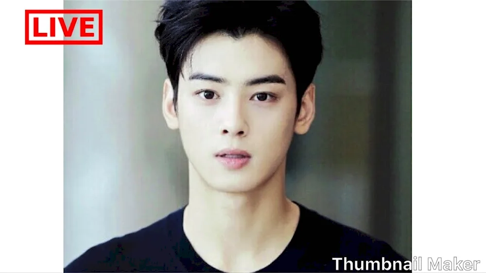 Cha Eun Woo