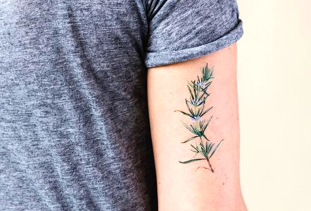 Thyme tattoo