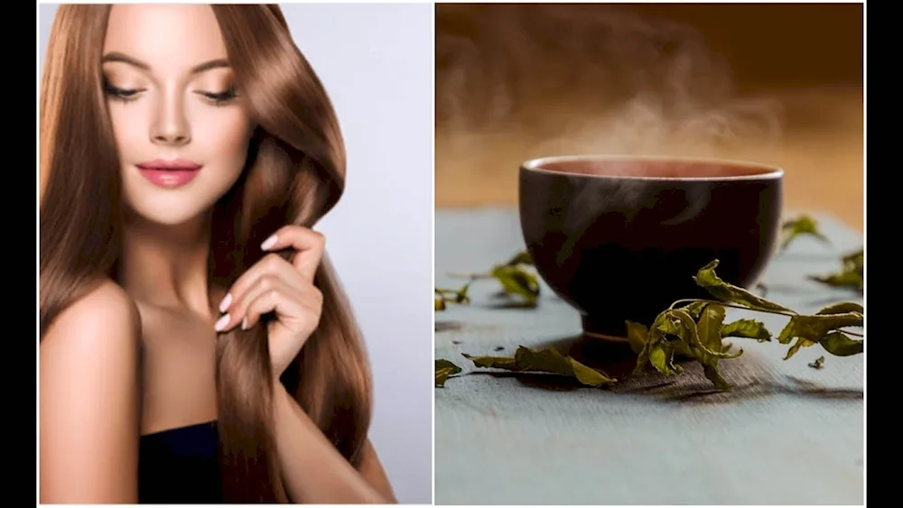 Studio Biocolor hair dye