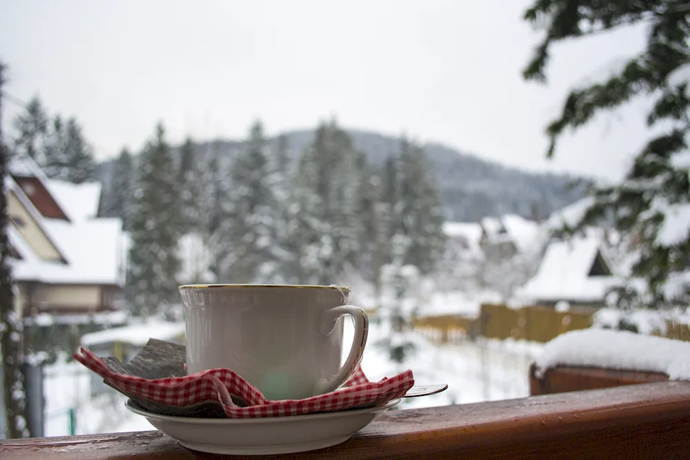 Chai winter