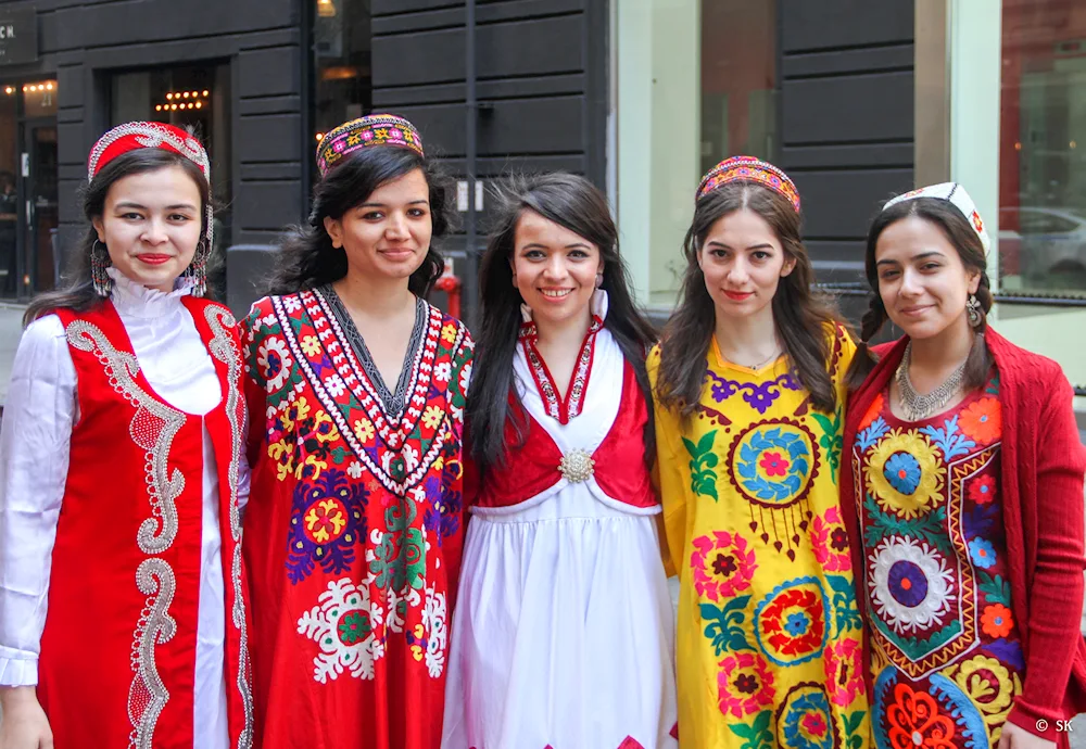 National costume chakan of Tajikistan. ornament of Tajikistan chakan