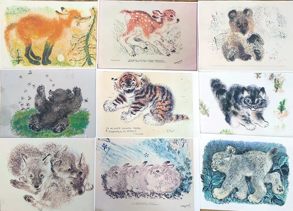 Charushin illustrations