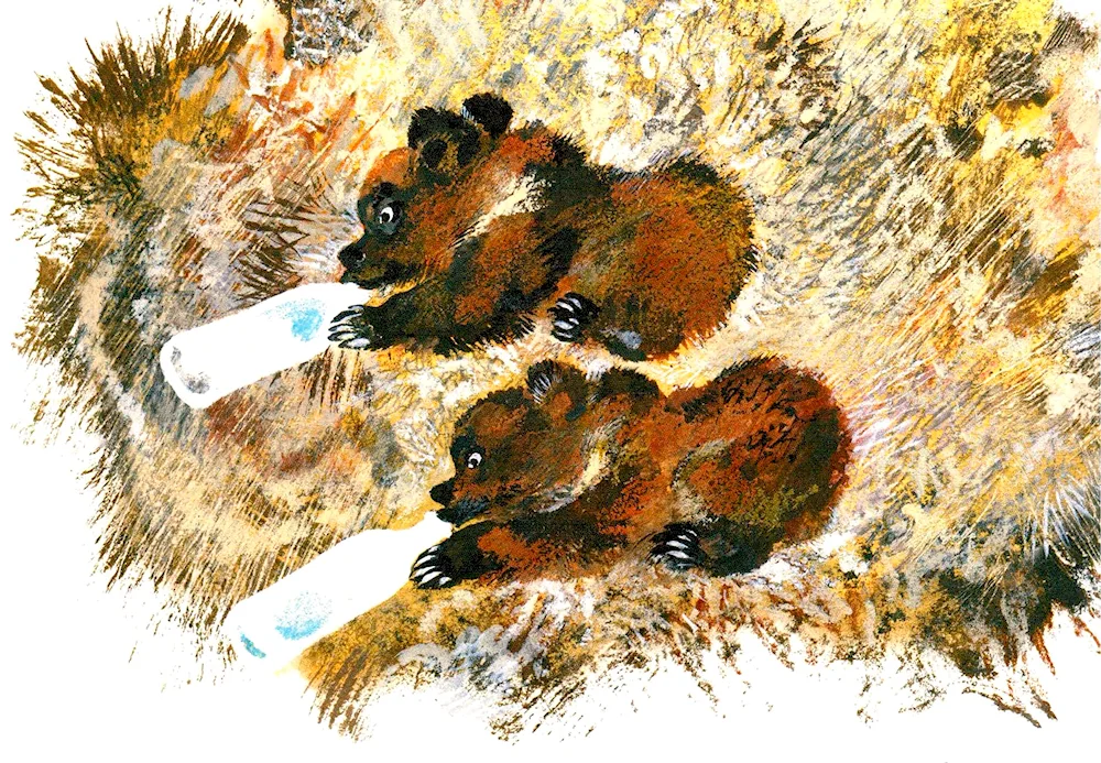 Charushin bear cubs