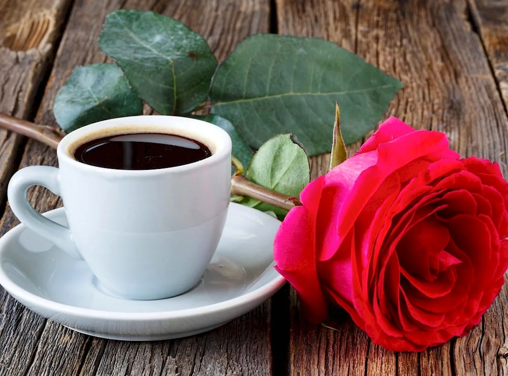 Cup of coffee and flowers