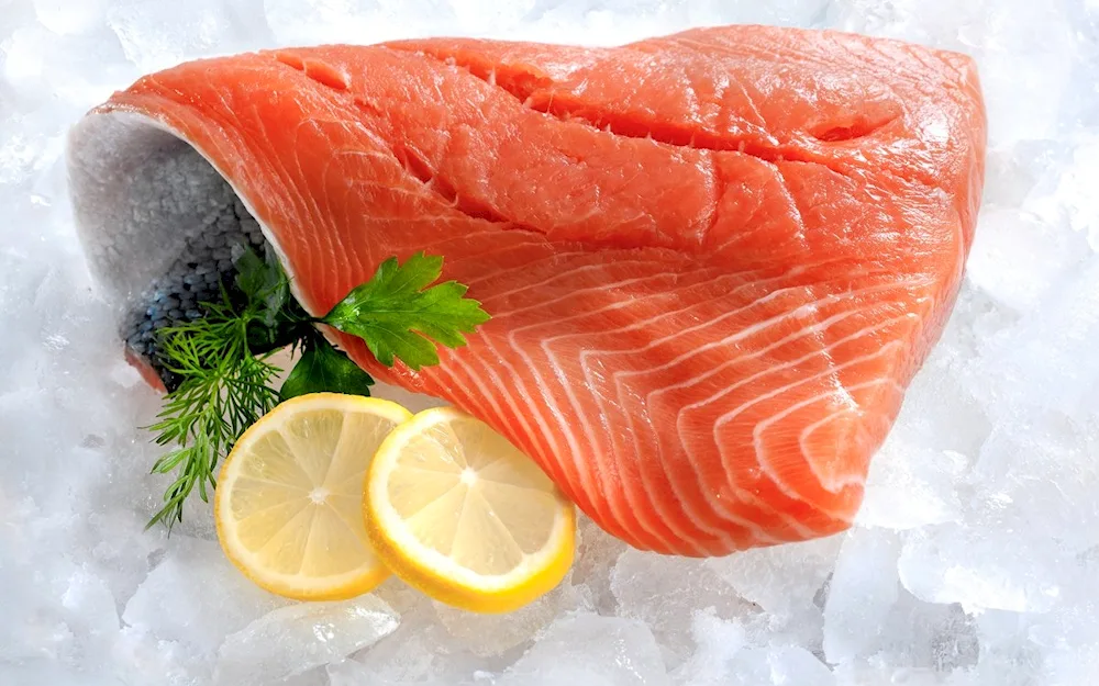 Chinook salmon trout