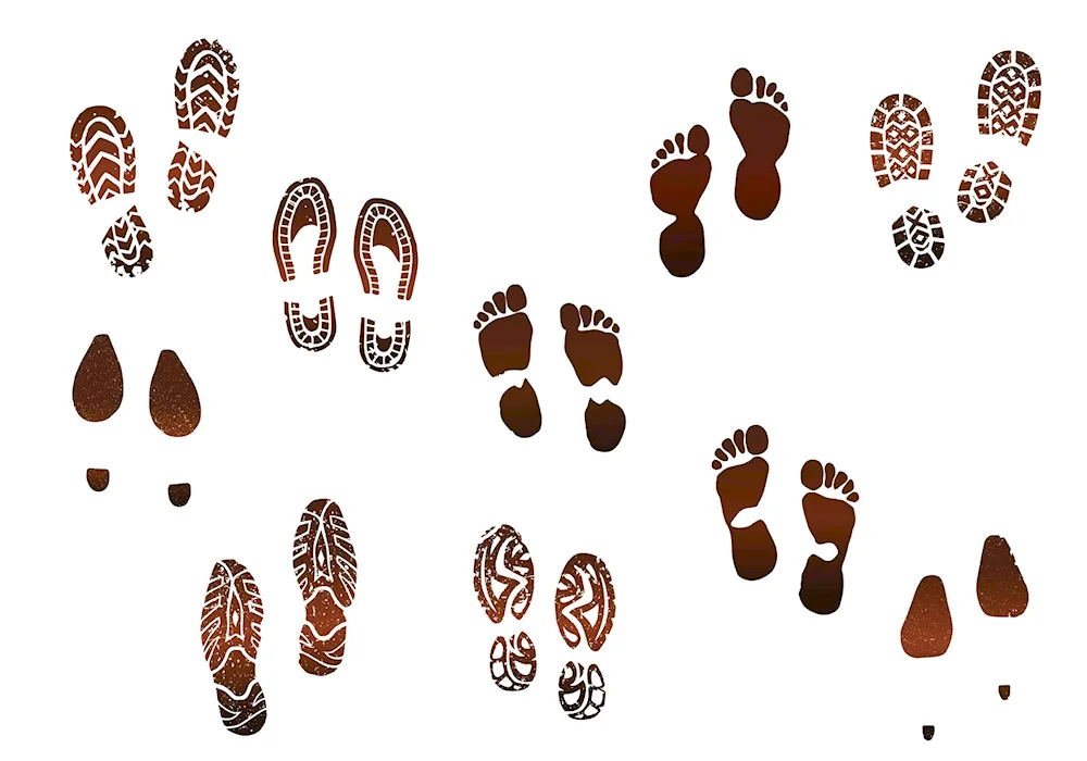 Human footprints on white background