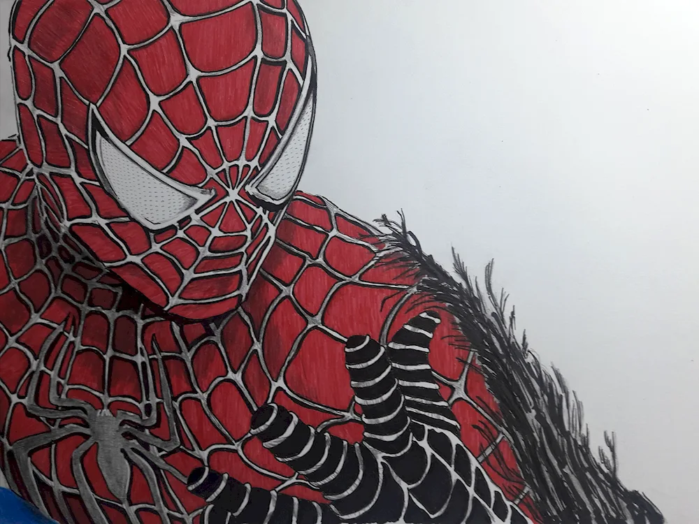 Marvel Spider-Man drawing for drawing