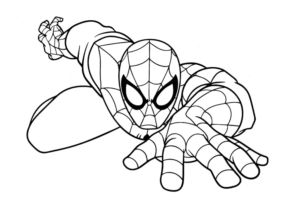 Spider-Man colouring book