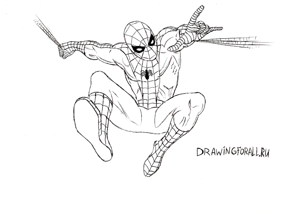 Spider-man drawing