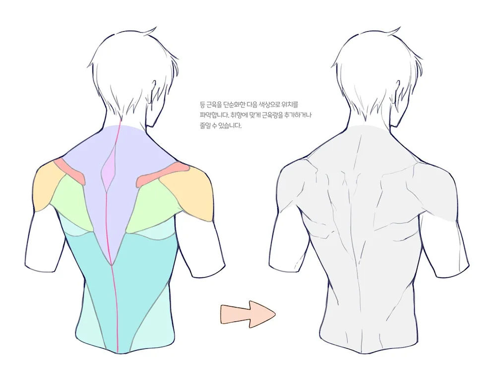 Human front reference
