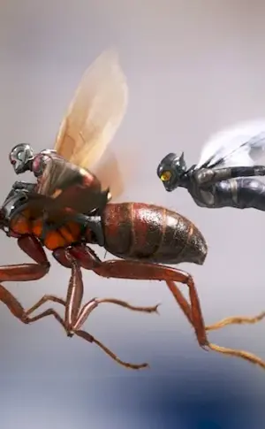 Man Ant and Wasp