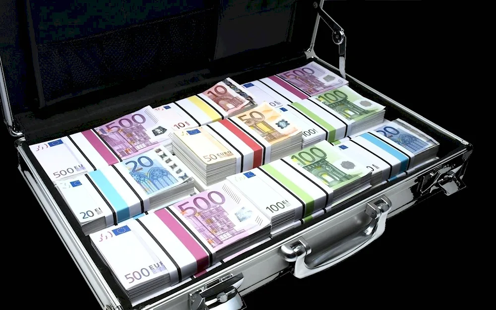 Suitcase with money