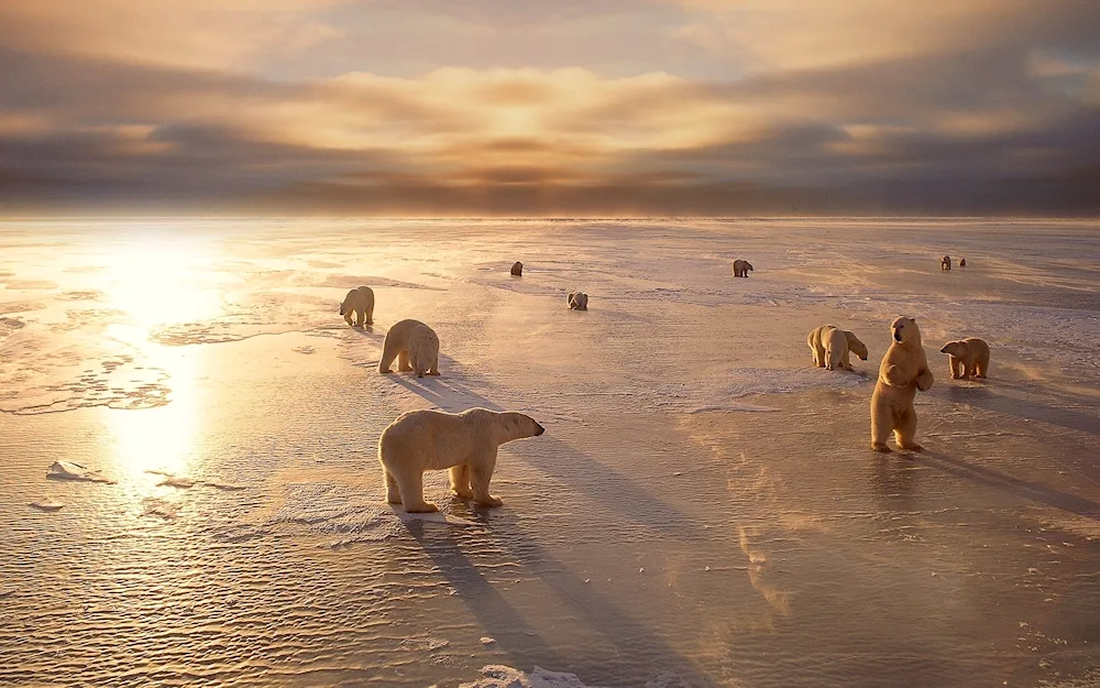 Churchill Manitoba