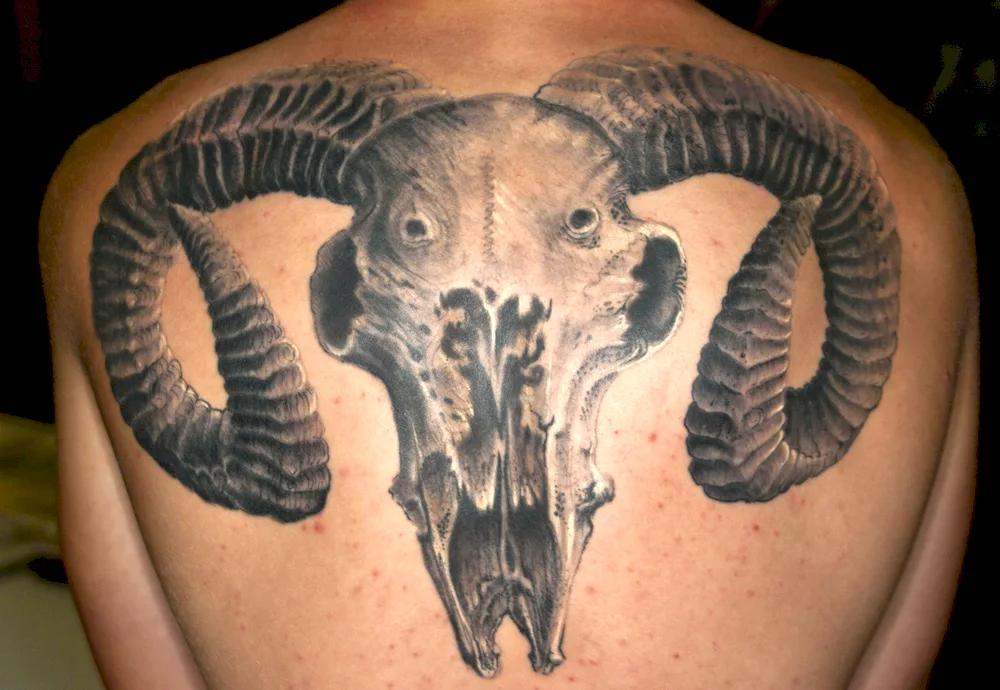 Tattoo Aries tribal tattoo bull tattoo