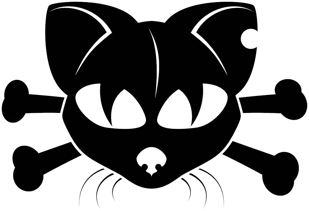 Skeleton of a cat