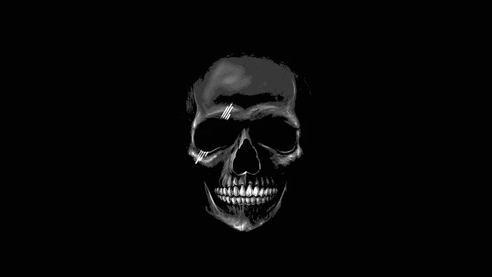 Skull on black background