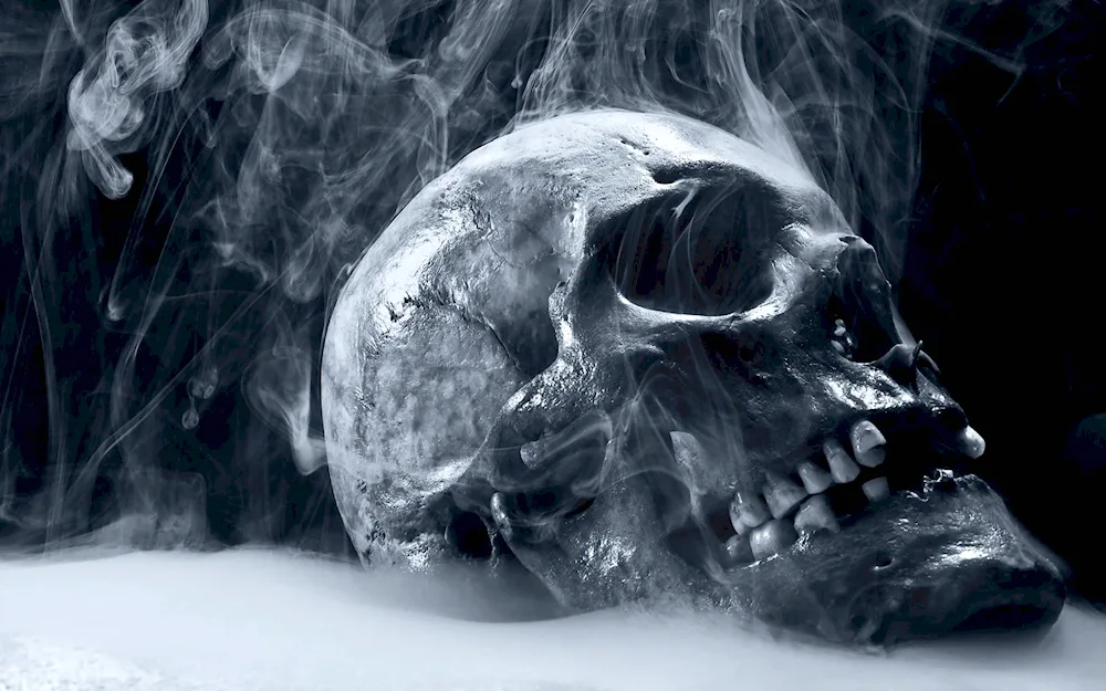 Cheshire cat's skull in the smoke