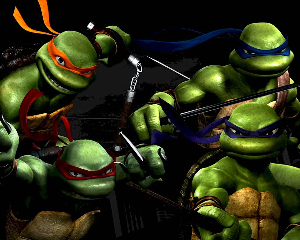 Mutant Ninja Turtles 2007