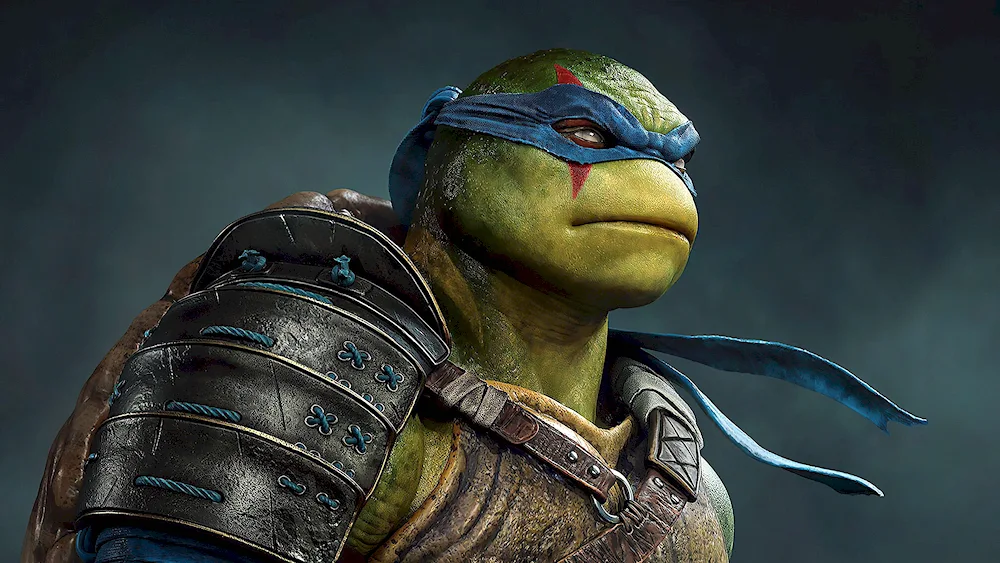 Leonardo Ninja Turtles Leonardo