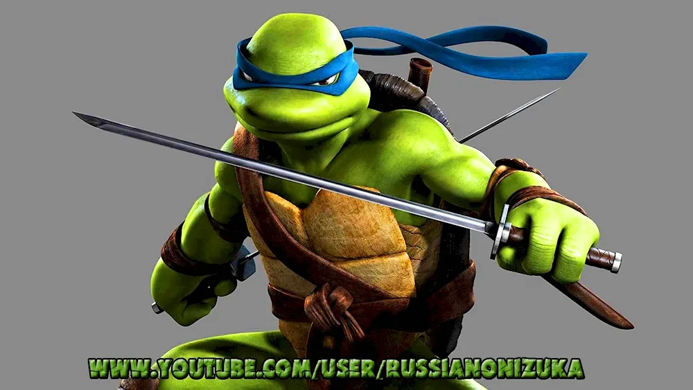 Teenage Mutant Ninja Turtles 2014